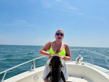 Hampton Report Photo 2