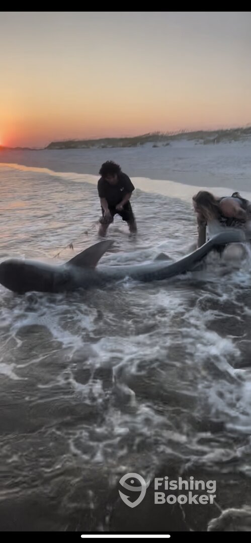 Destin Report Photo 0