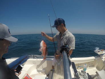 Jacksonville Report Photo 2