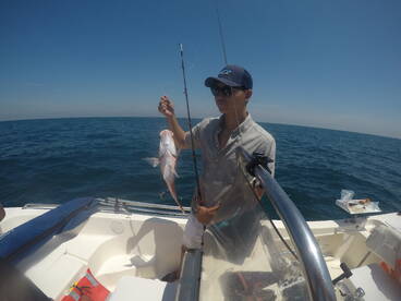 Jacksonville Report Photo 1