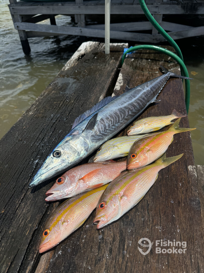 San Pedro Report Photo 0