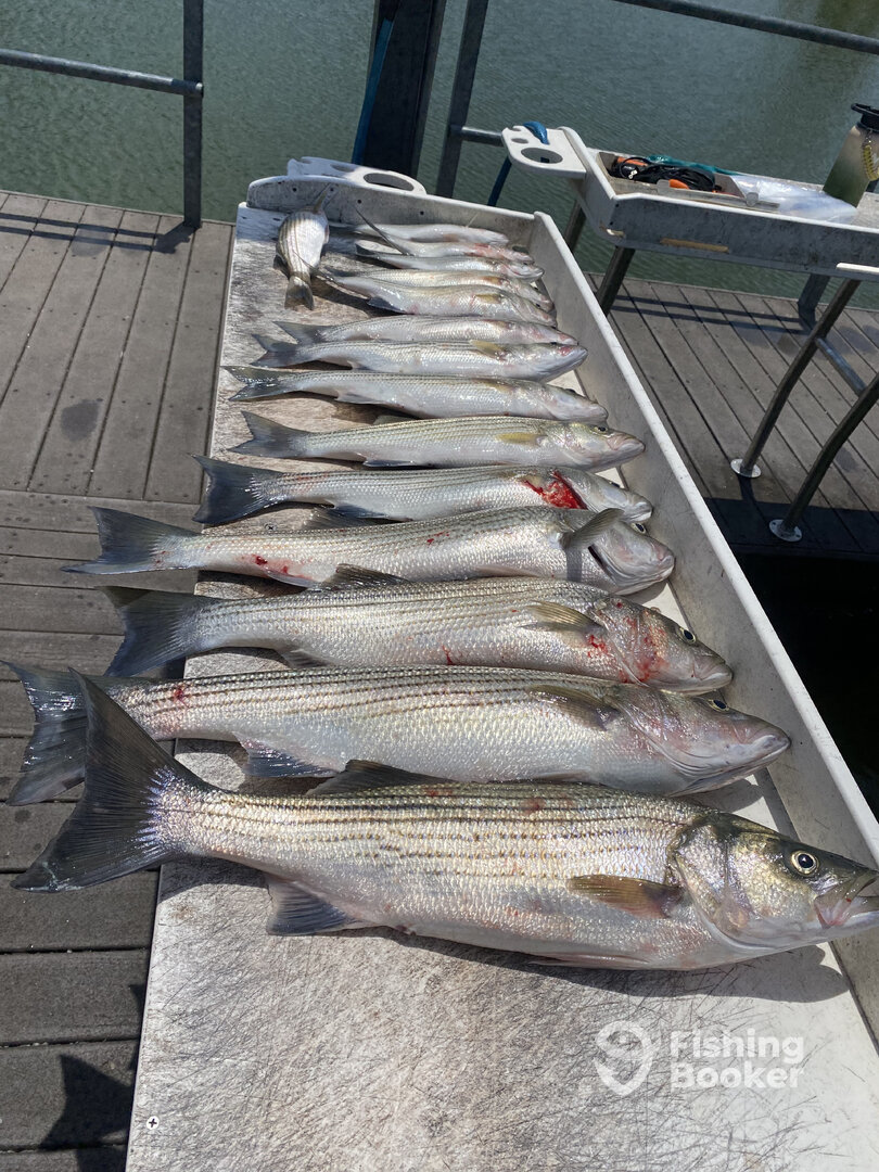 Platter Report Photo 0