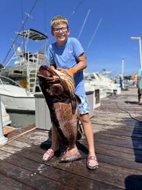 BLACK GROUPER