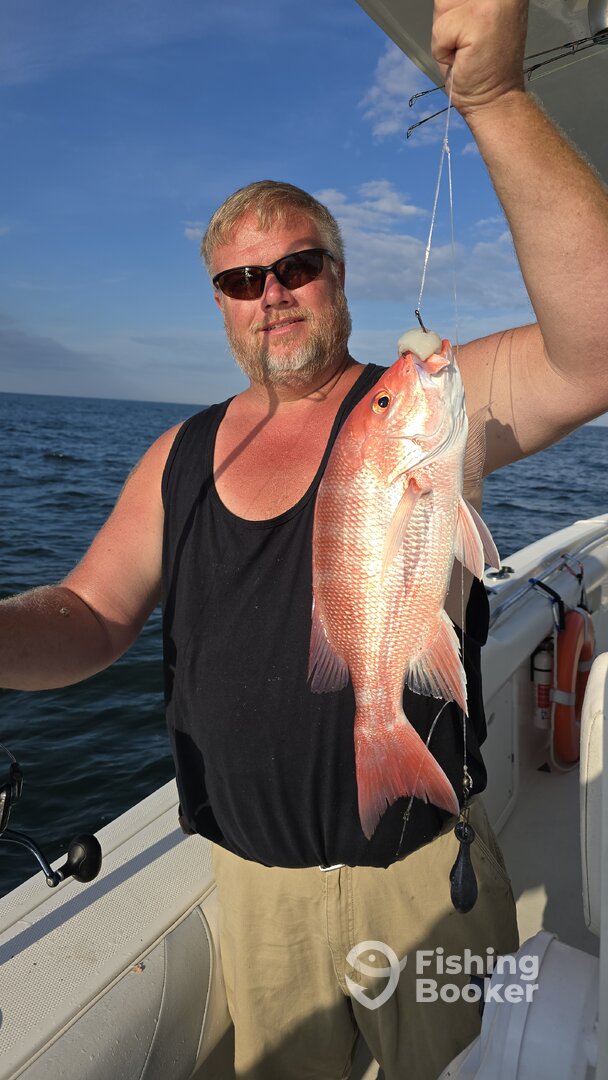 St. Simons Island Report Photo 0