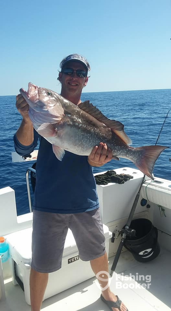 Fort Myers Report Photo 0