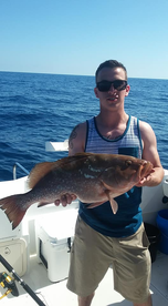 Fort Myers Report Photo 1