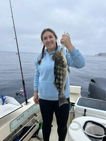 San Diego Report Photo 2