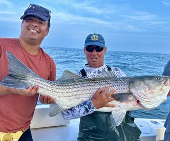 Amazing Twilight Bass trip