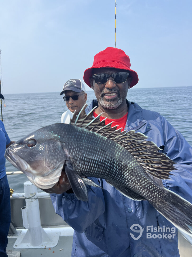 Montauk Report Photo 0