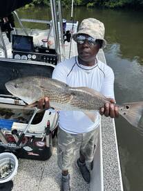 Running of the Redfish!