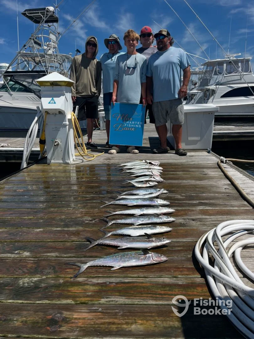 Wanchese Report Photo 0