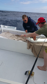 Costa Adeje Verslag Foto 1