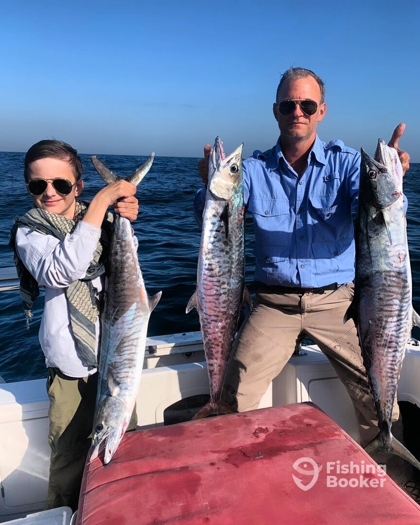 Maputo Report Photo 0