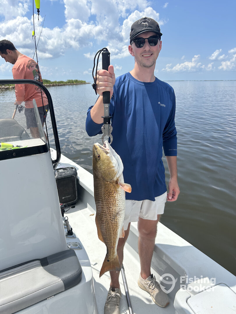 New Orleans Report Photo 0