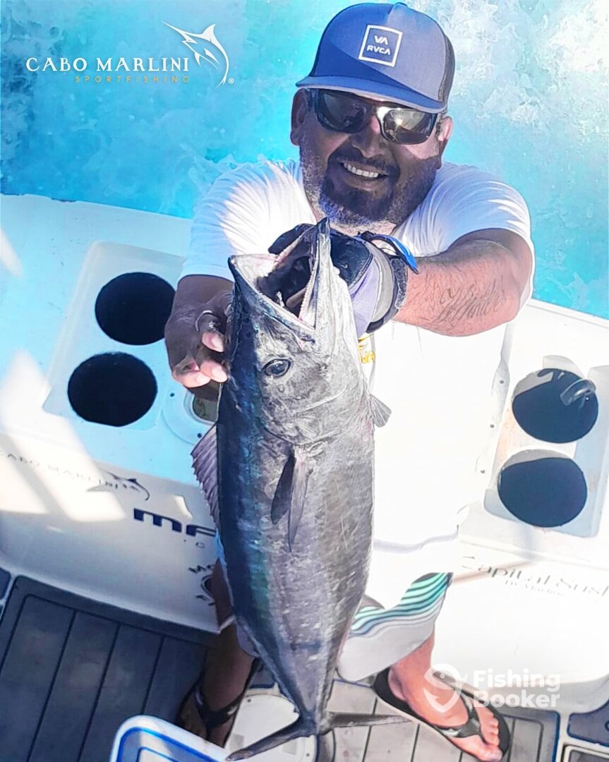 Cabo San Lucas Report Photo 0