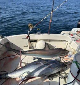 Boston Report Photo 2