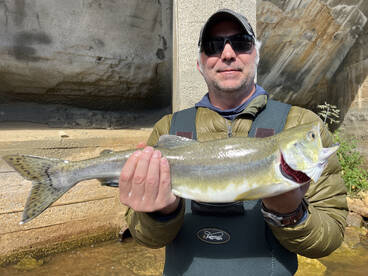 Munising Report Photo 2