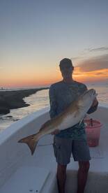 Galveston Report Photo 1