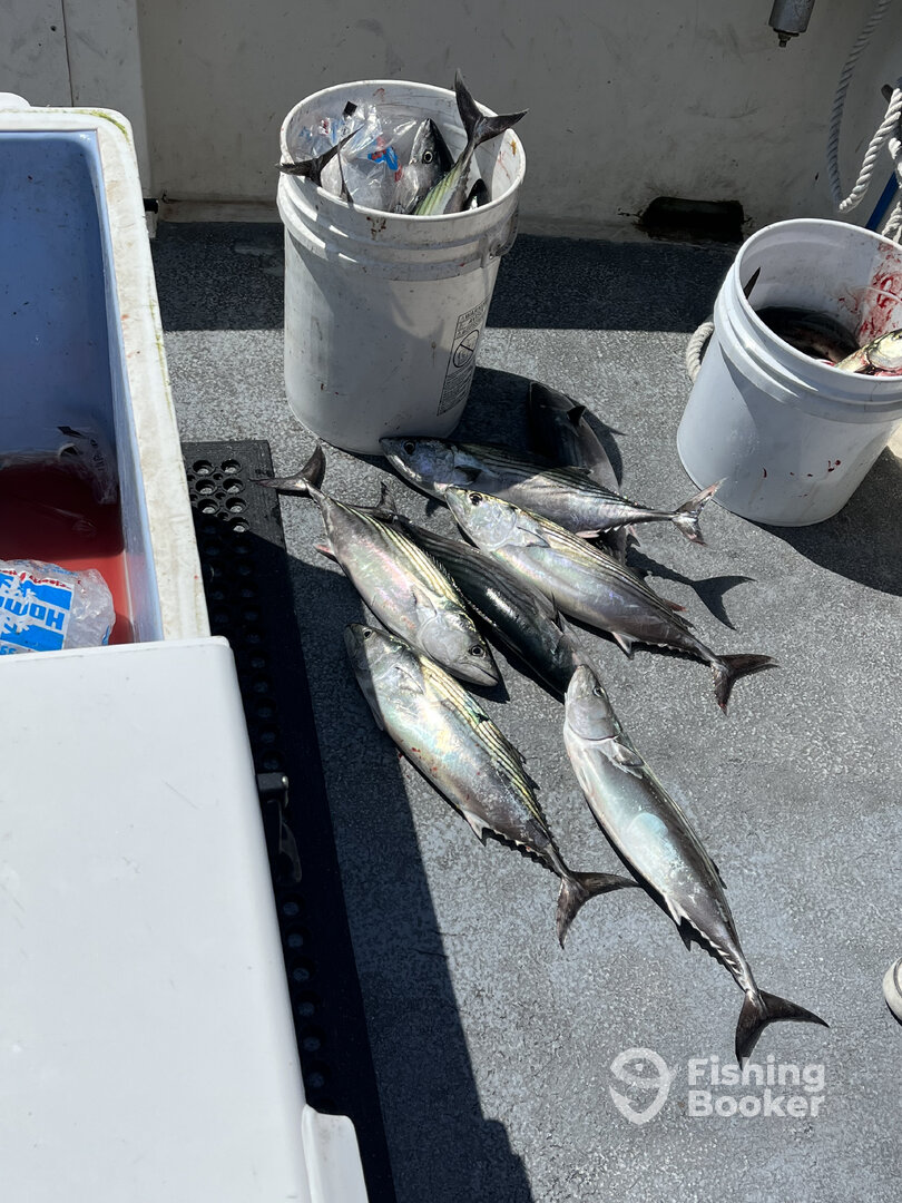 Wildwood Crest Report Photo 0