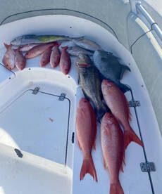 Good trip for mom and son 