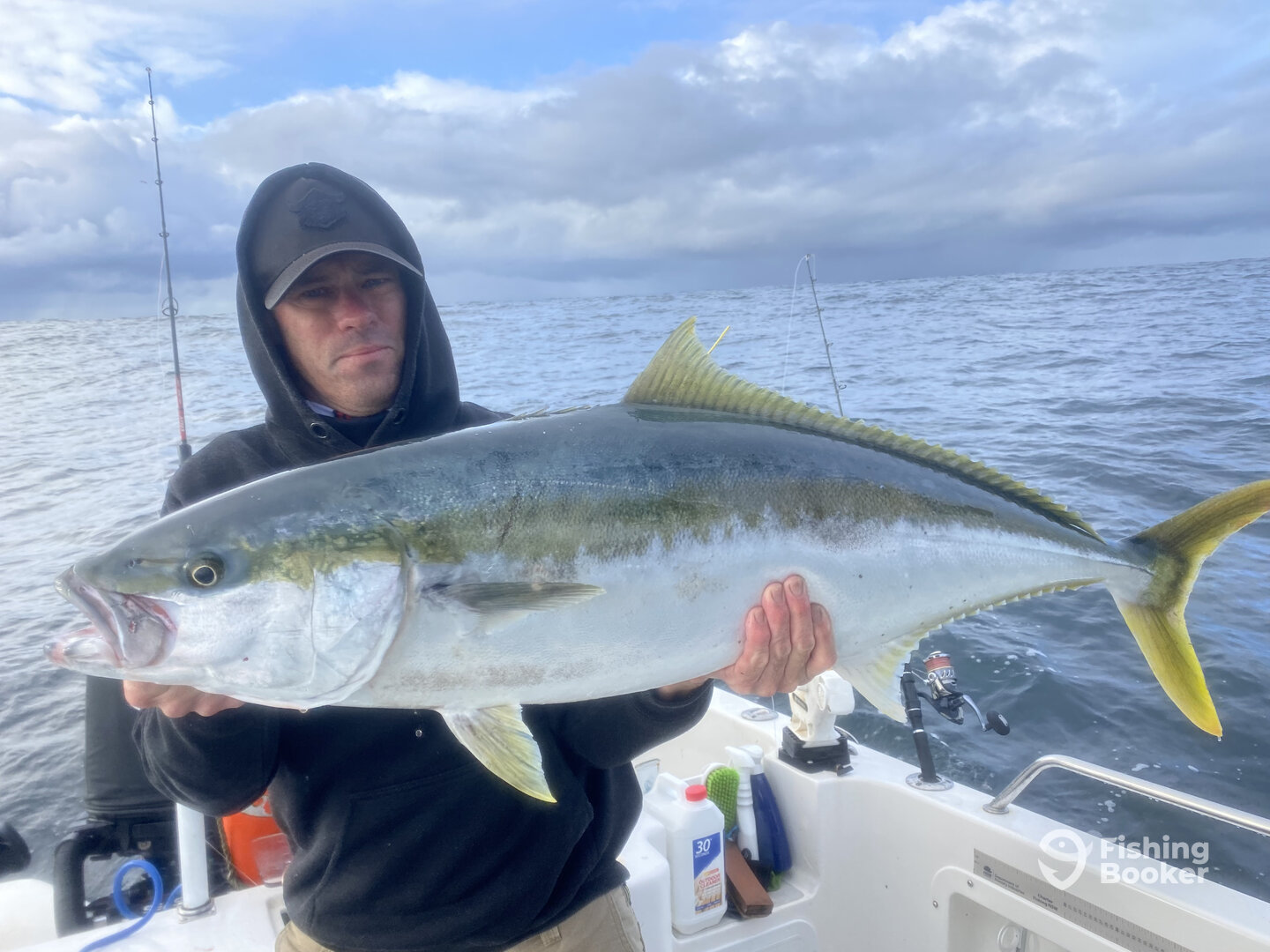 Sydney Report Photo 0