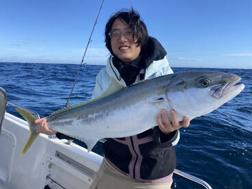 Sydney Report Photo 1