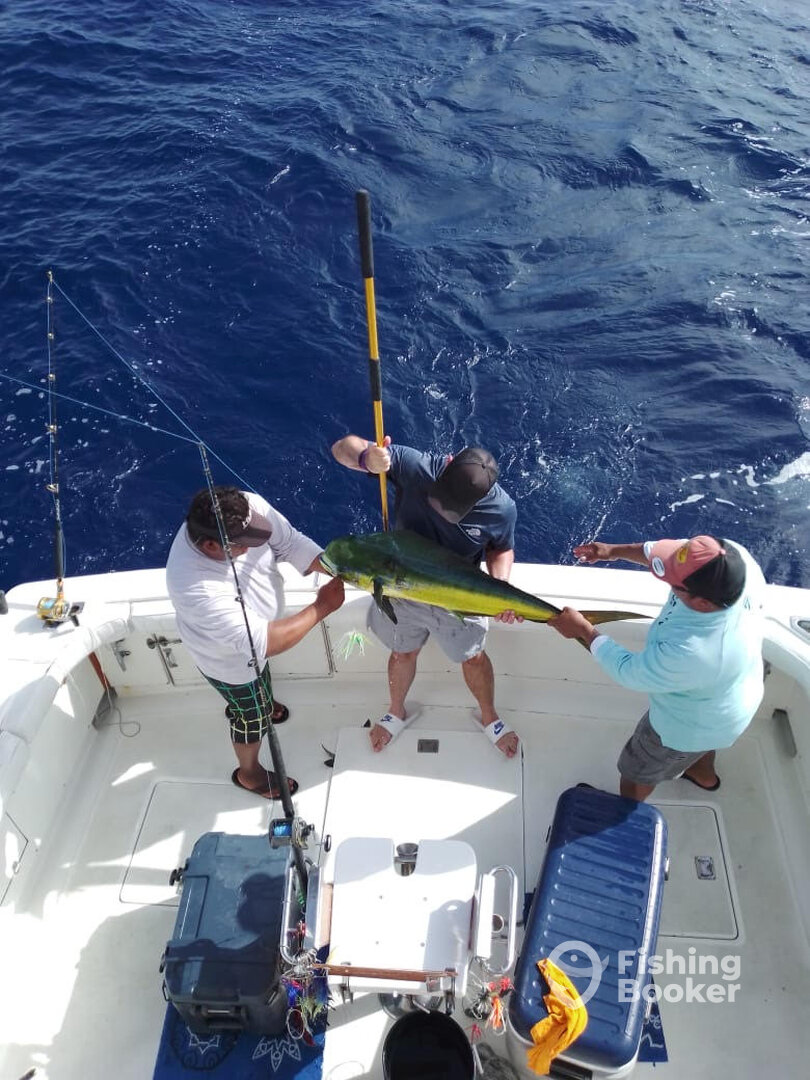 Puerto Aventuras Report Photo 0