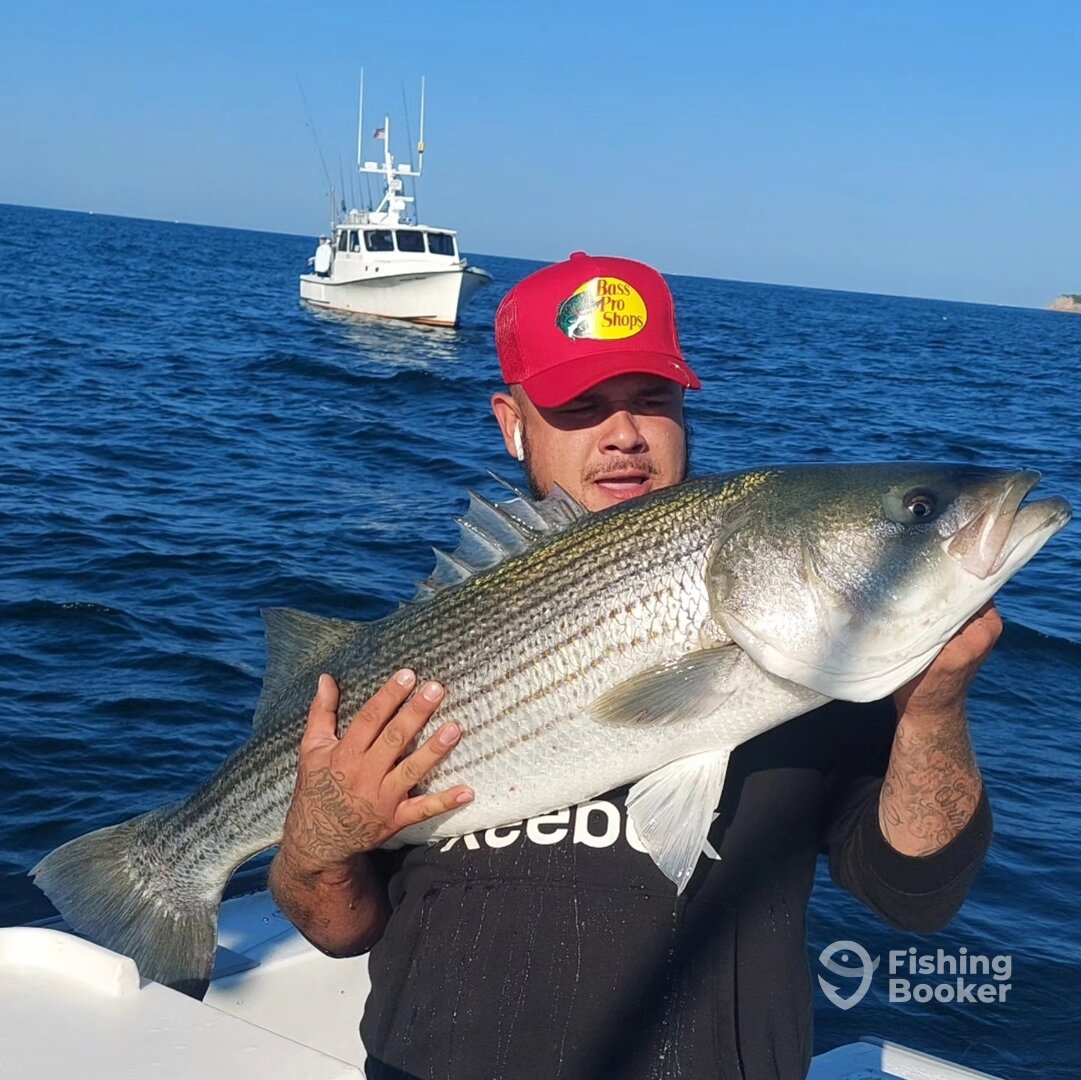 Narragansett Report Photo 0