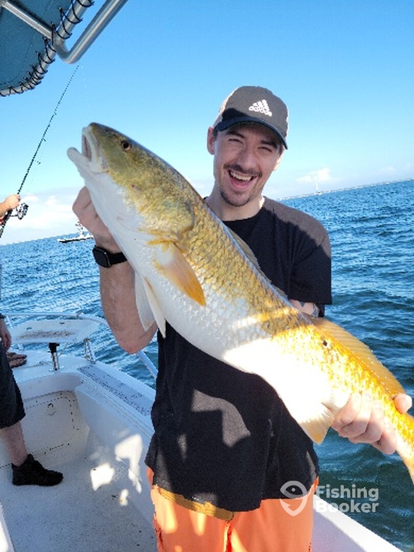 Pensacola Report Photo 0