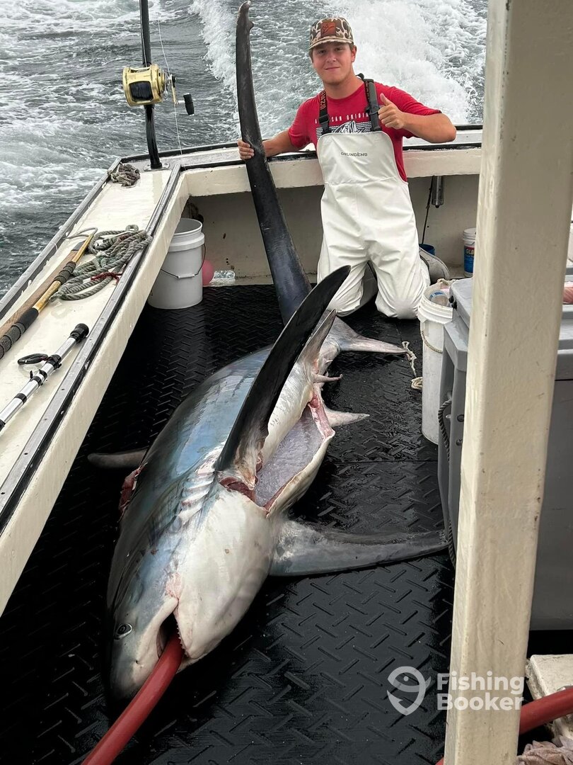 Hampton Report Photo 0