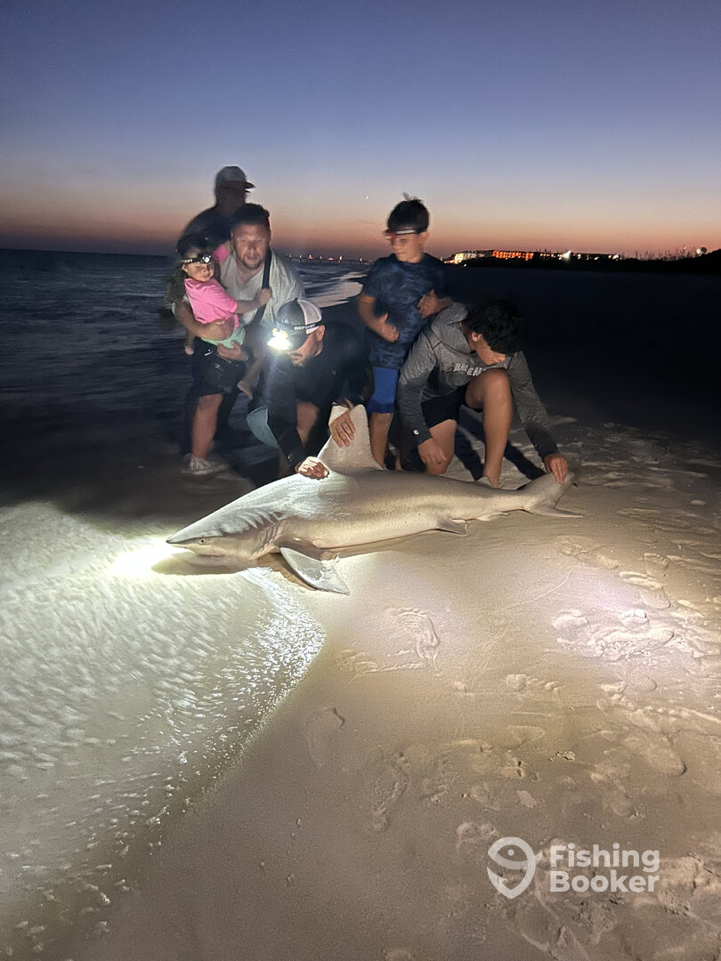 Navarre Report Photo 0