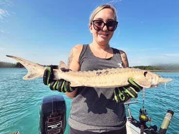 The action continues!