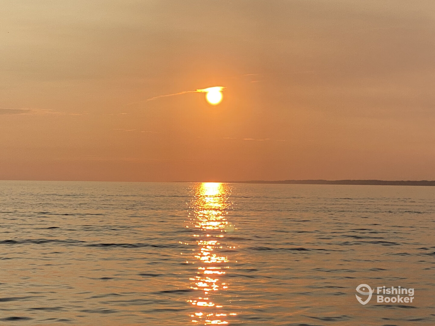 Mentor Report Photo 0