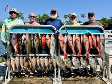 Shalimar Report Photo 2