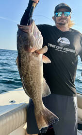 Shalimar Report Photo 1