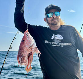 Sharks, Fish, and more Sharks!