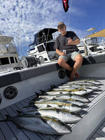 Yellowtail limits 