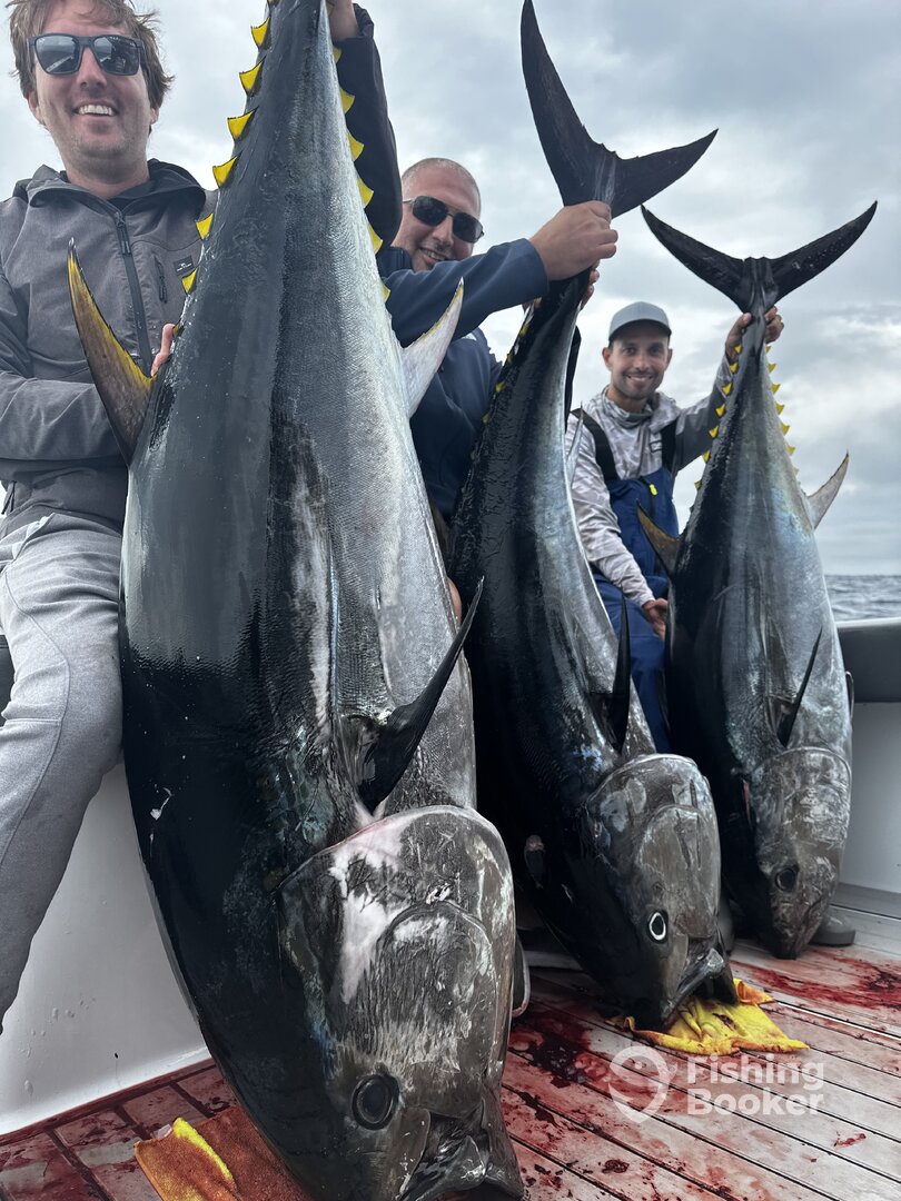 San Diego Report Photo 0