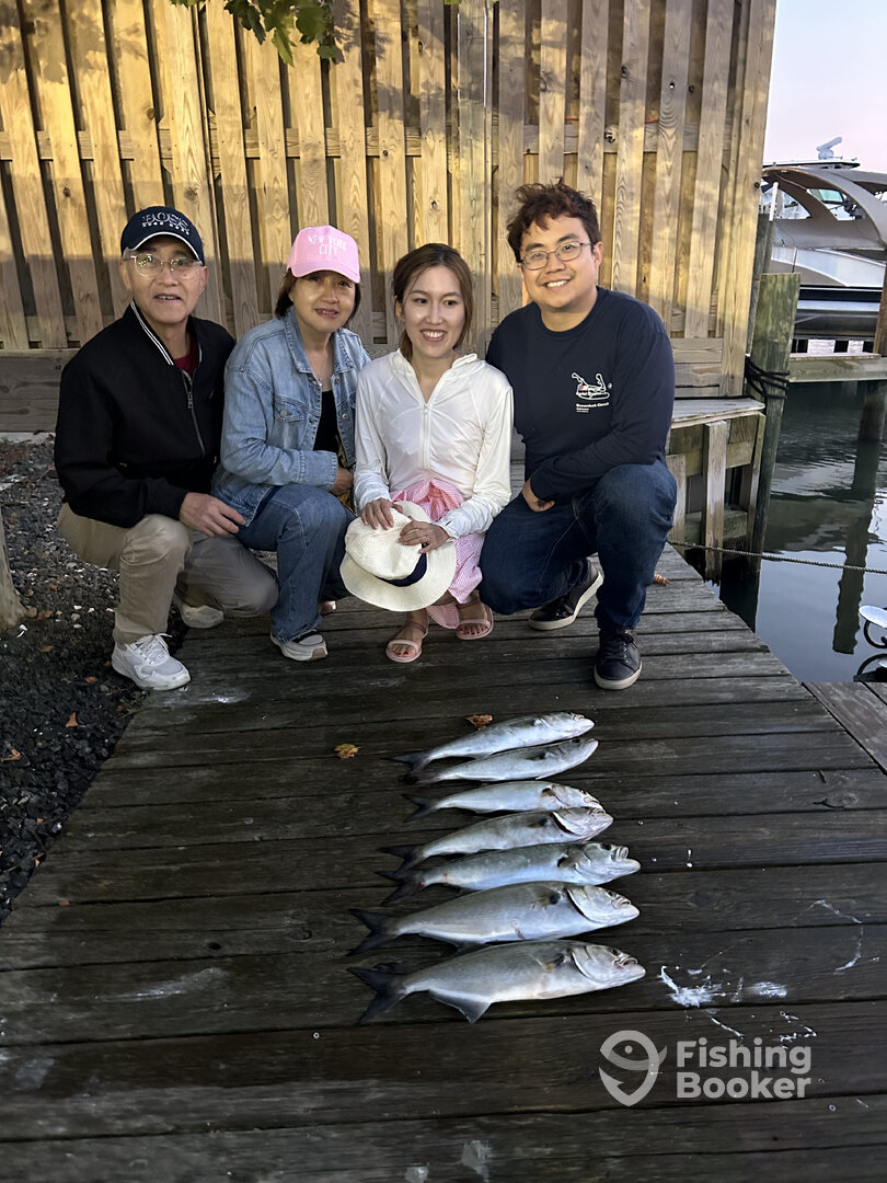 Ocean City Report Photo 0