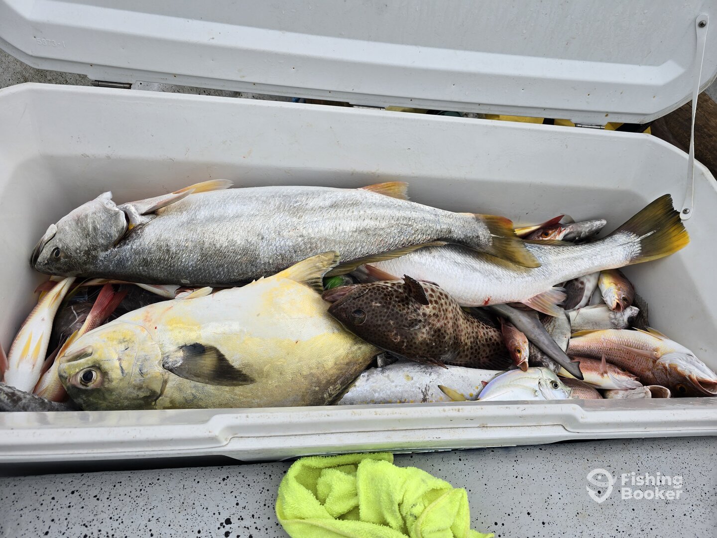 Panama City Report Photo 0