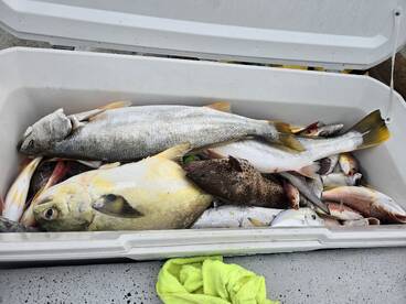 Bottom fishing with live bait