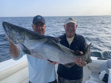 Leland Report Photo 2