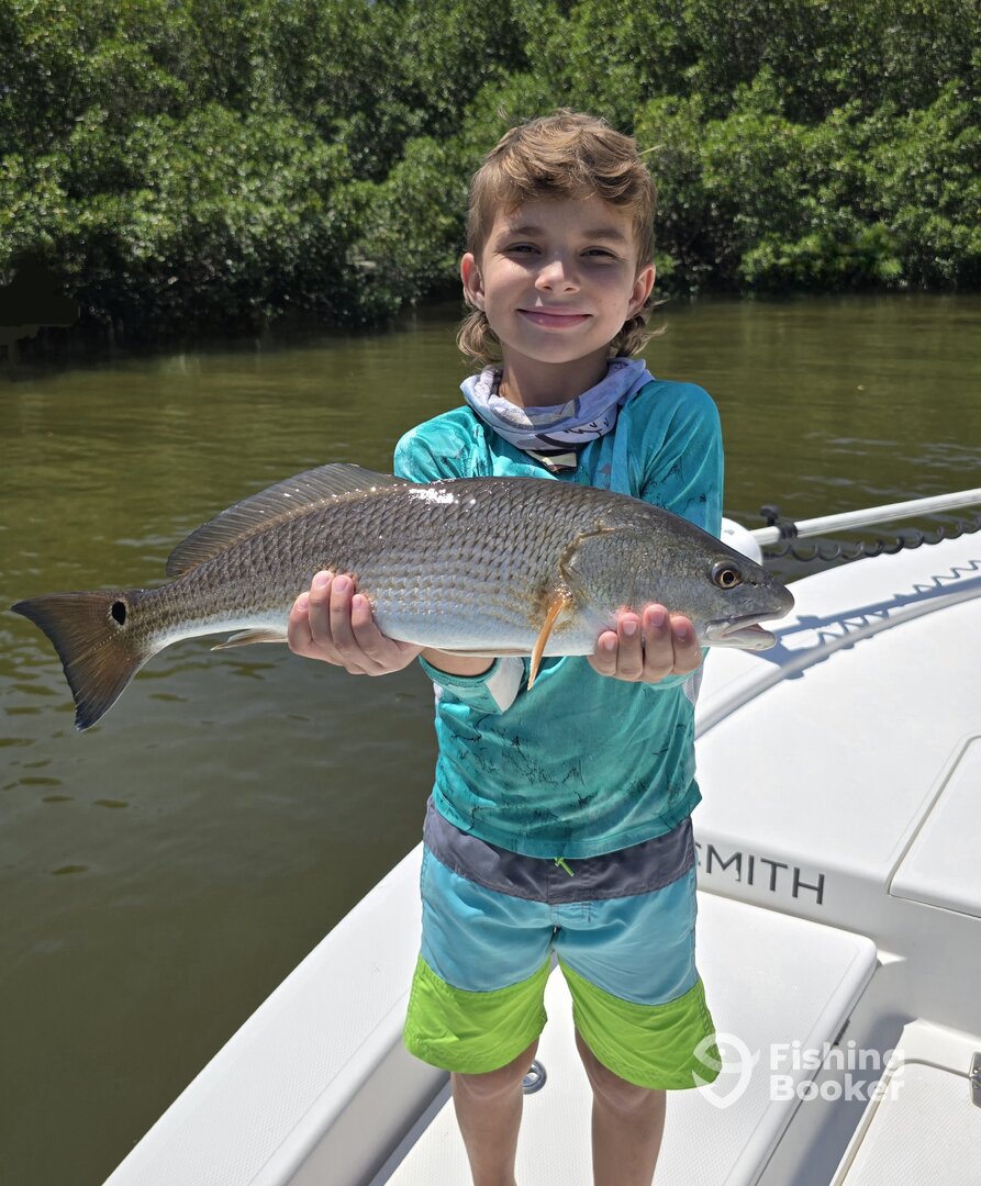 Belleair Bluffs Report Photo 0