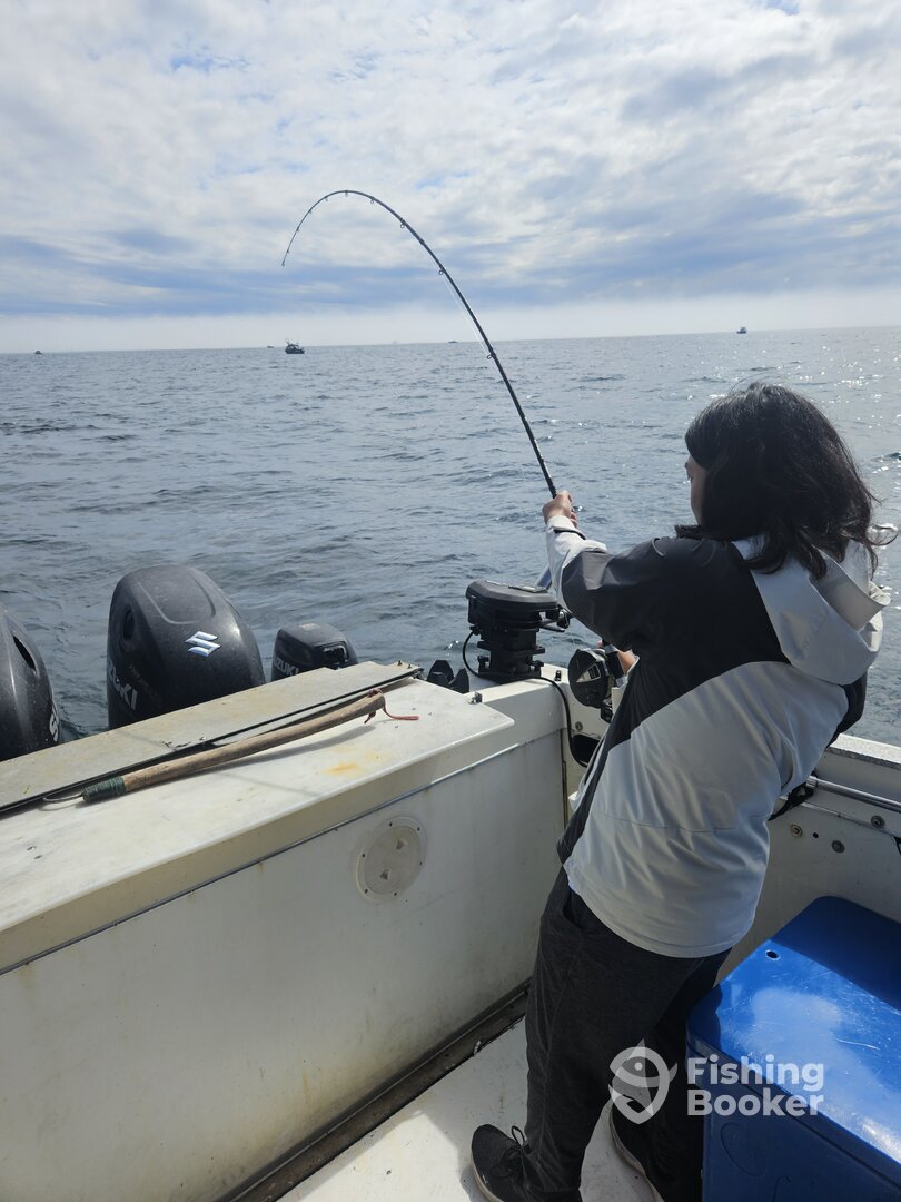 Sooke Report Photo 0