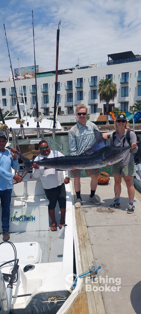 San Jose del Cabo Report Photo 0