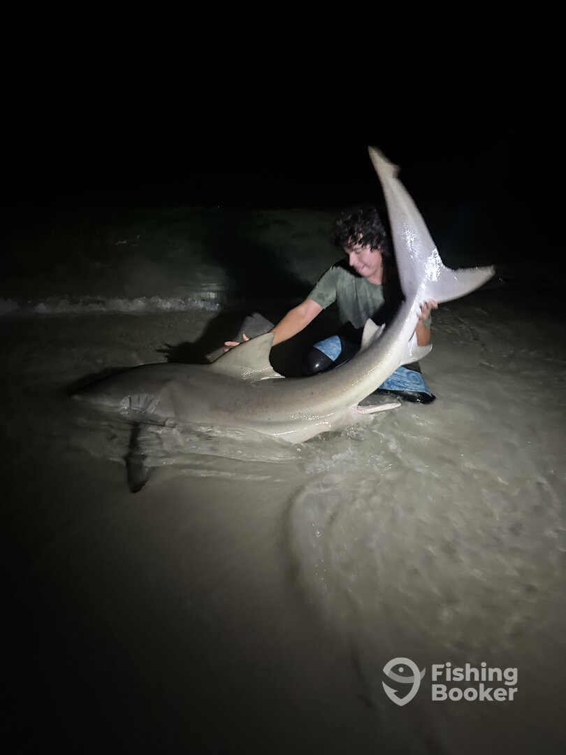 Navarre Report Photo 0