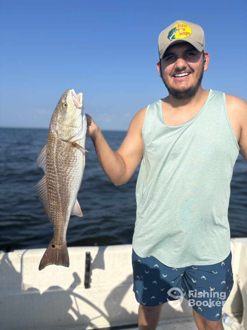 Palm Coast Report Photo 0