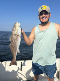 Palm Coast Report Photo 2