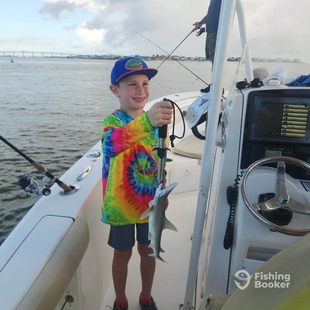 Bonnethead shark off the list!