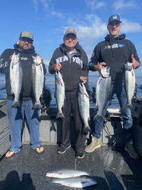 Puget sound coho